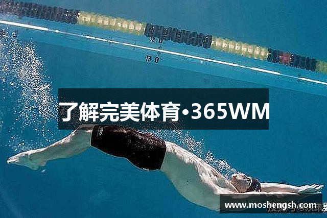 了解完美体育·365WM